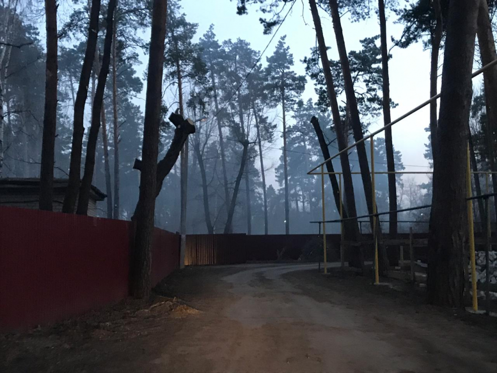 Детский лагерь превратил Воронеж в Сайлент Хилл Детский лагерь превратил Воронеж в Сайлент Хилл