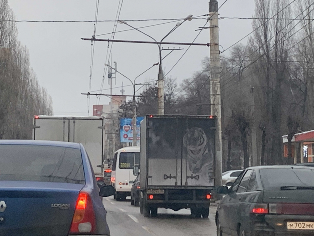 Удивительного тигра из грязи нарисовали на грузовике в Воронеже Удивительного тигра из грязи нарисовали на грузовике в Воронеже