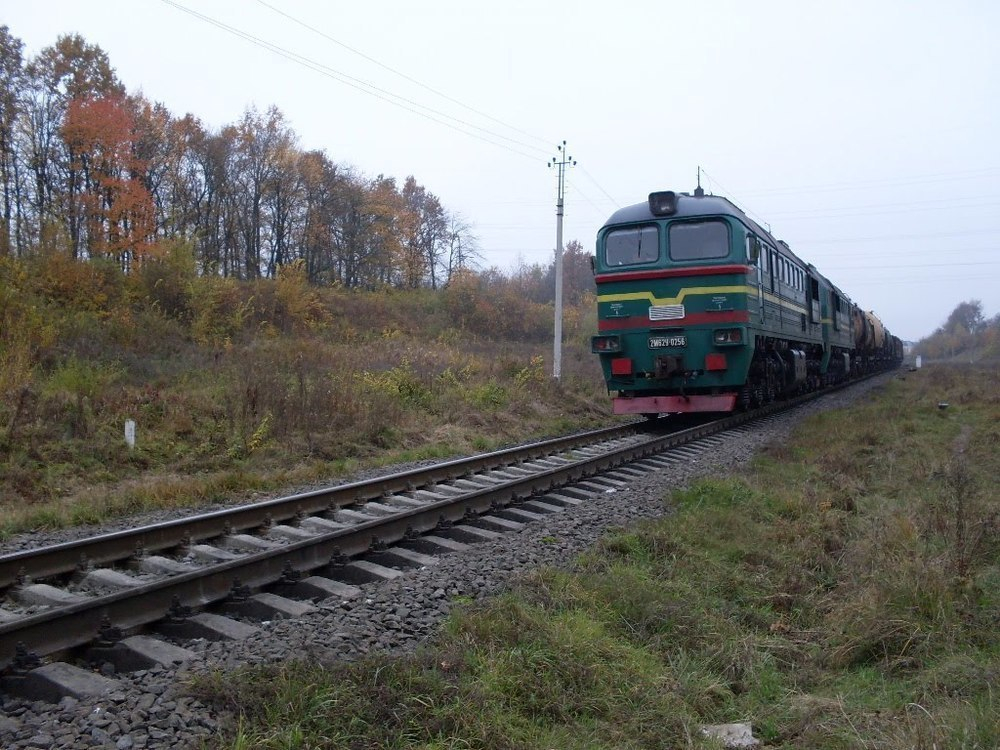 Пассажирский поезд сбил девушку в Воронежской области Пассажирский поезд сбил девушку в Воронежской области