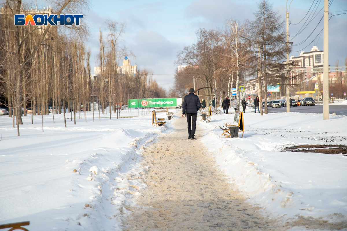 То густо, то пусто, или Что не так с уборкой снега по-воронежски