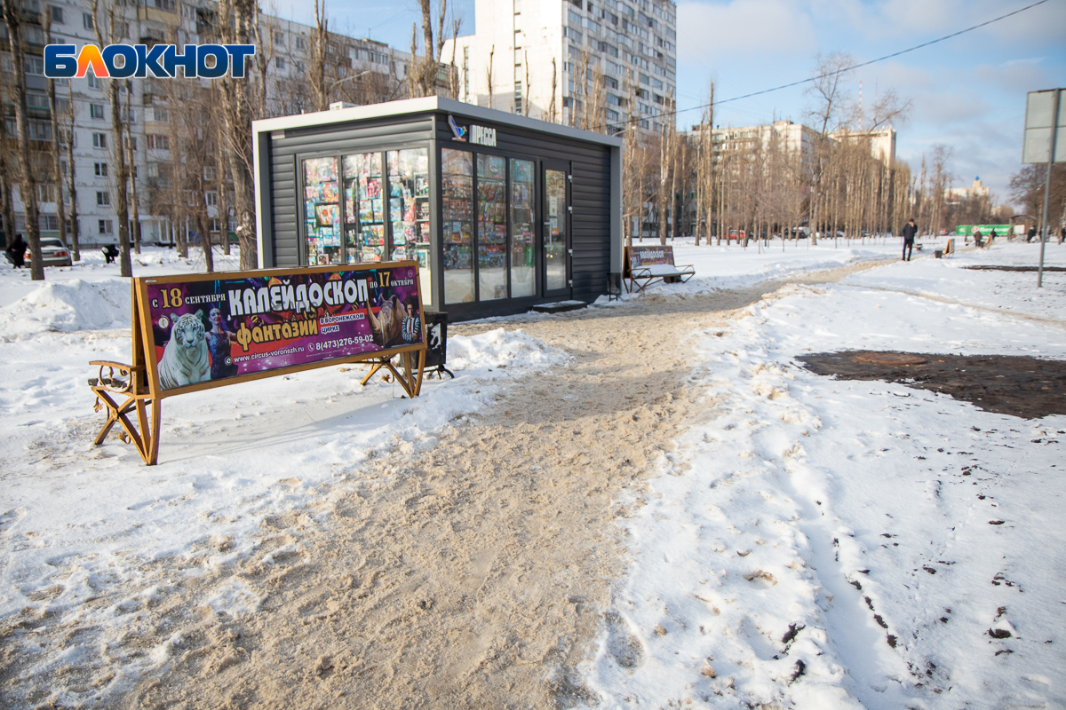 То густо, то пусто, или Что не так с уборкой снега по-воронежски