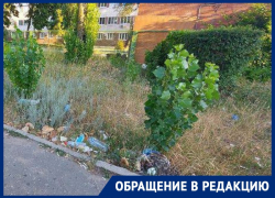 Позорную мусорку под окнами БСМП воронежцы записали на видео Позорную мусорку под окнами БСМП воронежцы записали на видео