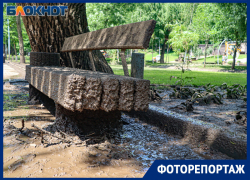 Грязевой коллапс или ничего страшного: как главные парки Воронежа пережили аномальный ливень Грязевой коллапс или ничего страшного: как главные парки Воронежа пережили аномальный ливень
