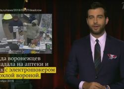Юморист Иван Ургант высмеял воронежских грабителей с дохлой вороной Юморист Иван Ургант высмеял воронежских грабителей с дохлой вороной