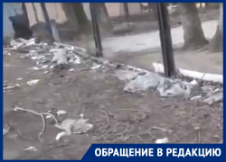 Помойка с иглами и шприцами атаковала детский сад в Воронеже Помойка с иглами и шприцами атаковала детский сад в Воронеже