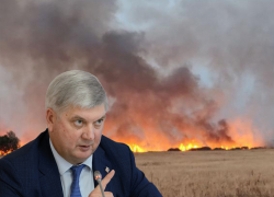 Губернаторский рейтинг Александра Гусева обрушился на фоне пожаров в Воронежской области Губернаторский рейтинг Александра Гусева обрушился на фоне пожаров в Воронежской области