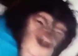 negrila.jpg