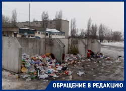 Разбросанные по Поворино отходы вскрыли проблемы мусоросортировки в Воронежской области Разбросанные по Поворино отходы вскрыли проблемы мусоросортировки в Воронежской области
