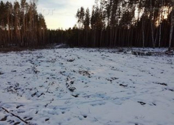 С владельцев «Рамонских дач» Воронежский заповедник попробует взыскать 144 млн руб С владельцев «Рамонских дач» Воронежский заповедник попробует взыскать 144 млн руб