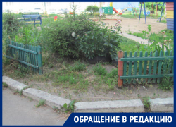 Хуже, чем в банке: воронежцы воюют с УК из-за "хамских" процентов Хуже, чем в банке: воронежцы воюют с УК из-за "хамских" процентов