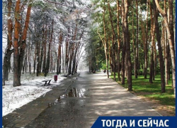Что стало отправной точкой благоустройства парков Воронежа Что стало отправной точкой благоустройства парков Воронежа