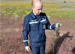 Оборонительную осколочную гранату на боевом взводе нашли воронежские МЧСники Оборонительную осколочную гранату на боевом взводе нашли воронежские МЧСники