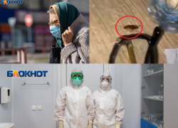 Коронавирус в Воронеже 27 февраля: 296 зараженных, восемь смертей и пятое место в ковидном рейтинге Коронавирус в Воронеже 27 февраля: 296 зараженных, восемь смертей и пятое место в ковидном рейтинге