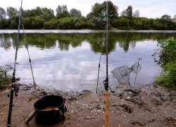 В Воронеже начали подготовку к ограничению весеннего рыболовства из-за нереста В Воронеже начали подготовку к ограничению весеннего рыболовства из-за нереста