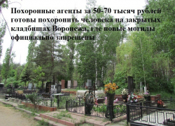 В Воронеже идет бойкая торговля местами на закрытых кладбищах — кто «банкует» и остается в плюсе (АУДИО) В Воронеже идет бойкая торговля местами на закрытых кладбищах — кто «банкует» и остается в плюсе (АУДИО)