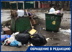 Помойное зверство лишило воронежцев нормальной жизни Помойное зверство лишило воронежцев нормальной жизни