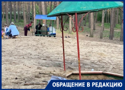 В унынии и разрухе играют дети в воронежском парке В унынии и разрухе играют дети в воронежском парке