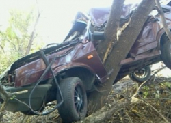В Воронежской области «девятка» вылетела с дороги в дерево В Воронежской области «девятка» вылетела с дороги в дерево