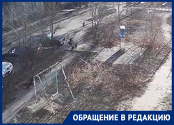 Воронежцы рассказали об агрессивной своре, загрызающей котов Воронежцы рассказали об агрессивной своре, загрызающей котов