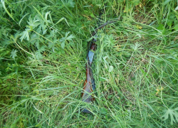 Вооруженного браконьера задержали на территории воронежского заповедника. Вооруженного браконьера задержали на территории воронежского заповедника.