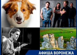 Куда сходить в Воронеже: ночь в Дивногорье, Порараз Бирацца и «Собачья жизнь 2» Куда сходить в Воронеже: ночь в Дивногорье, Порараз Бирацца и «Собачья жизнь 2»