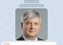 Губернатор Воронежской области совершил политический каминг-аут в телеграме Губернатор Воронежской области совершил политический каминг-аут в телеграме