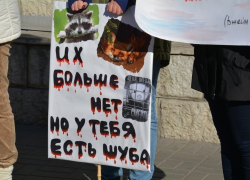 Воронежским модникам напомнили, что «животные – не одежда» Воронежским модникам напомнили, что «животные – не одежда»