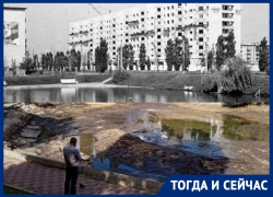 Яркий пример созидательного труда расположился на левом берегу Воронежа Яркий пример созидательного труда расположился на левом берегу Воронежа