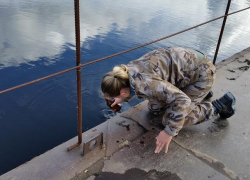 Запрещенный препарат ДДТ нашли в водоемах Воронежского заповедника Запрещенный препарат ДДТ нашли в водоемах Воронежского заповедника
