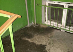 Субботнее потепление может смыть подъезд воронежской многоэтажки в центре города Субботнее потепление может смыть подъезд воронежской многоэтажки в центре города