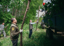 Алексей Гордеев, экологи и волонтеры расчистили берег воронежской реки Алексей Гордеев, экологи и волонтеры расчистили берег воронежской реки