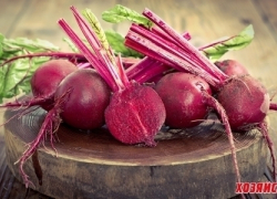 Детокс-продукт: 6 вещей, из-за которых вы полюбите свеклу Детокс-продукт: 6 вещей, из-за которых вы полюбите свеклу
