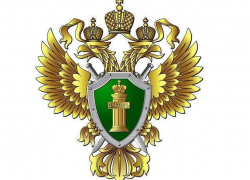 Основные положения законодательства, регулирующего порядок назначения предварительной опеки. Основные положения законодательства, регулирующего порядок назначения предварительной опеки.