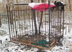 Самодельный шалаш бомжей на могиле сожгли на воронежском кладбище Самодельный шалаш бомжей на могиле сожгли на воронежском кладбище