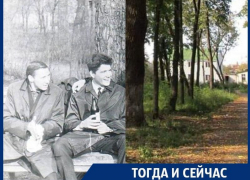 Какова ценность Бринкманского сада, по которому не могут определится власти Воронежа Какова ценность Бринкманского сада, по которому не могут определится власти Воронежа