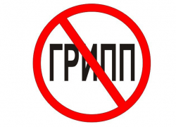 В Воронежской области завершилась эпидемия гриппа В Воронежской области завершилась эпидемия гриппа
