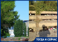 В какой гадюшник превратилось живописное место на левом берегу Воронежа В какой гадюшник превратилось живописное место на левом берегу Воронежа
