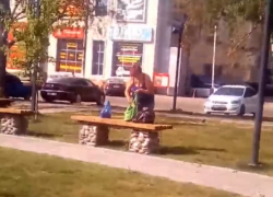 Циничное расхитительство парка сняли на видео в Воронежской области Циничное расхитительство парка сняли на видео в Воронежской области