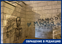 «Запредельное варварство»: воронежцы испортили надписями отремонтированный путепровод на 9 Января «Запредельное варварство»: воронежцы испортили надписями отремонтированный путепровод на 9 Января