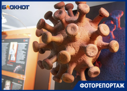 Гигантские макеты Covid-19 и портреты погибших врачей на выставке «Красная зона» в Воронеже Гигантские макеты Covid-19 и портреты погибших врачей на выставке «Красная зона» в Воронеже