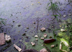 Воронежские экоактивисты нашли еще один сброс отходов в водохранилище Воронежские экоактивисты нашли еще один сброс отходов в водохранилище