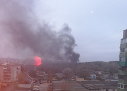 Черный дым из леса на юго-западе города с утра переполошил воронежцев Черный дым из леса на юго-западе города с утра переполошил воронежцев