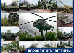 Какая гордость России расположена в воронежском левобережье Какая гордость России расположена в воронежском левобережье