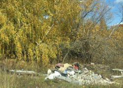 Вместо осеннего леса воронежцы приехали на свалку Вместо осеннего леса воронежцы приехали на свалку