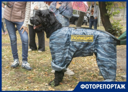 Полицейский пес и питомцы размером с кошку: что увидели воронежцы на выставке собак Полицейский пес и питомцы размером с кошку: что увидели воронежцы на выставке собак