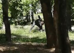 Комичный конфликт воронежца с травой сняли на видео Комичный конфликт воронежца с травой сняли на видео