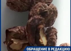 В «Магните» воронежцу продали целую сетку просроченных каштанов В «Магните» воронежцу продали целую сетку просроченных каштанов