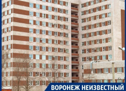 Когда в Воронеже появилась скандальная БСМП Когда в Воронеже появилась скандальная БСМП
