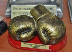 10 золотых медалей завоевали павловские боксеры на I воронежском региональном турнире «Основатель» 10 золотых медалей завоевали павловские боксеры на I воронежском региональном турнире «Основатель»