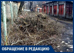 Из нашего двора коммунальщики сделали мусорку! – воронежцы с проспекта Труда Из нашего двора коммунальщики сделали мусорку! – воронежцы с проспекта Труда